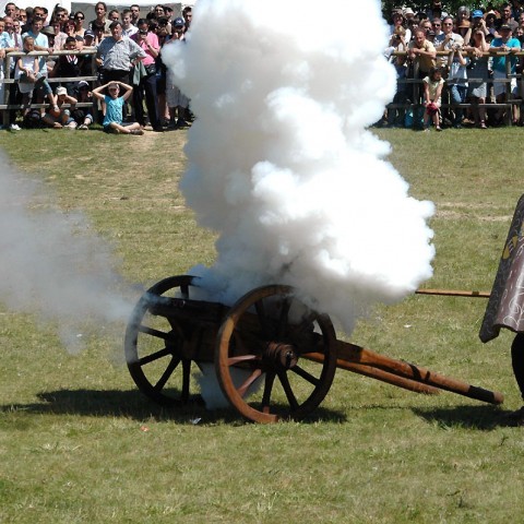 25-26 juin 2011     6ème Festival d'Histoire Vivante 