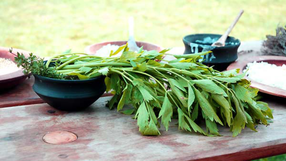 herbes